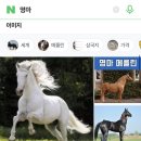 닭꼬치광 이미지