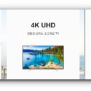 제이케이 쏠