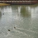 지하철 부전역(부산시민공원·송상현광장) | 부산 가을 가볼만한 곳 시민공원 송상현광장 부전시장