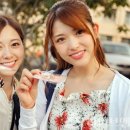 타비たび 이미지
