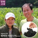 박종애농장 이미지