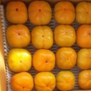 옥전농장 이미지