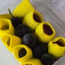 해피스무디 이미지