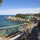 동해찜식당 이미지