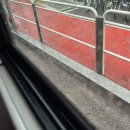 커몽커몽펫 | 그럼 방법이 없네 받아들일 수밖에