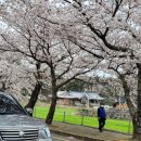 월출산이야기 이미지