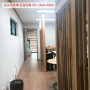 꽃대나리로 이미지