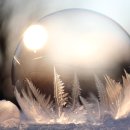 두물머리 관광안내소 | 양평 시티투어버스 두물머리 여행 후기｜강과 산이 만나는 하루 나들이