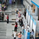 돈이농장 | 2025 서울 일러스트 코리아 in aT 양재 방문 후기