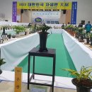 신안군민체육관 체육관 이미지