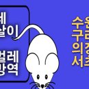 미인유통수원