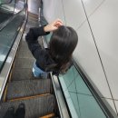 해태동물병원 | I'm about to do it XXL doin XXL (8/10~8/16)