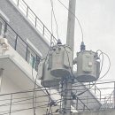 명품꽈배기앤핫도그 이미지