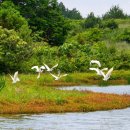 수산초등학교 이미지