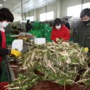 태안상회 이미지