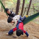 어울림숲학교