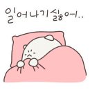 아맘픽.