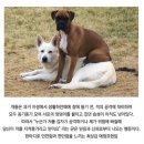 20230801-31 :: 본격 휴가 8월/팬텀싱어4 갈라콘/반려견동반펜션