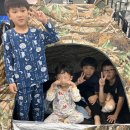 국술원 합기도(홍문관) 이미지