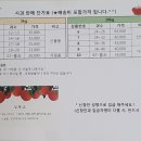 자매농원 이미지