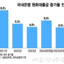 은행, 대출증가율 15년 만에 '최저' , 위험가중자산 보고서 이미지