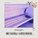 무인10 | 육아맘 워킹맘이 선택한 수원 몰디브태닝 화이트태닝 10회 후기, 24시간 무인 가능한 수원태닝샵