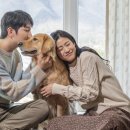 동산동물병원 이미지