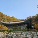 광은사 - 1195 | 광은사