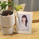 강남역 사진관 추천 강남역에 뜬 별 스튜디오 프로필 촬영 30분 완성 후기