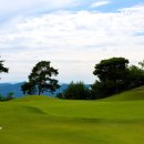 도그센추리 이미지