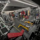 타이거 파라다이스 이미지