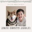시민안경원 이미지