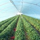 이상원농장 이미지