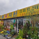 한아름꽃 이미지