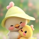 용정 Daum카페