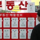 댕댕이부동산공인중개사사무소 네이버블로그