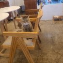 교룡커피 이미지