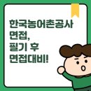 대성지 재해위험저수지 정비공사 | 한국농어촌공사면접, 필기 후 면접대비!