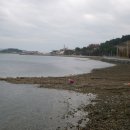 통영아지매 이미지