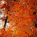 부평대로260번길부평대로276번길 | 부평 용한 점집 태화신무 후기