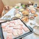 수원 애견동반식당 칠보회관 강아지 동반 냉동삼겹살 식당