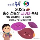 목소리 농로 | 가을여행 가족여행 추천 2025 충주 천등산 고구마 축제, 가족과 함께하는 가을 먹거리 체험