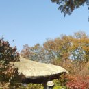 부은농장 이미지