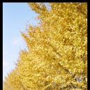 성주사 입구 이미지