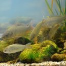 성심행정사사무소 이미지