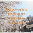 화담숲 16개 테마 정원 중 벚꽃과 가장 잘 어울리는 포인트 BEST 5