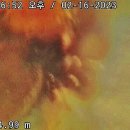 방배4동 이미지