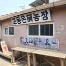 고향지기 티스토리