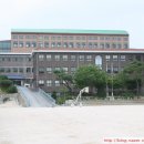 대동세무고등학교 이미지