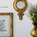 골드플라워 (GOLD FLOWER) 이미지